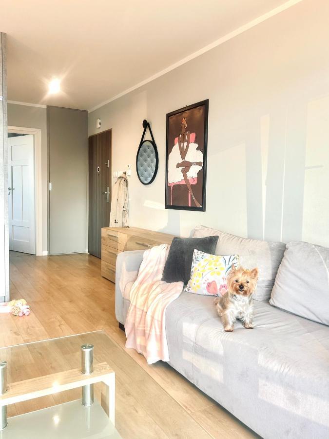 Downtownapartments Carrie Rzeszów Εξωτερικό φωτογραφία
